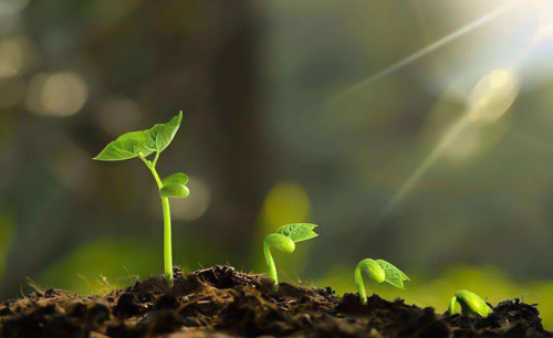 編制土壤污染調(diào)查報(bào)告